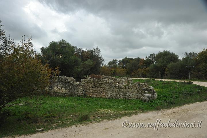 CENSIMENTO CAVA CAROSELLO 31.10.2010 (320).JPG